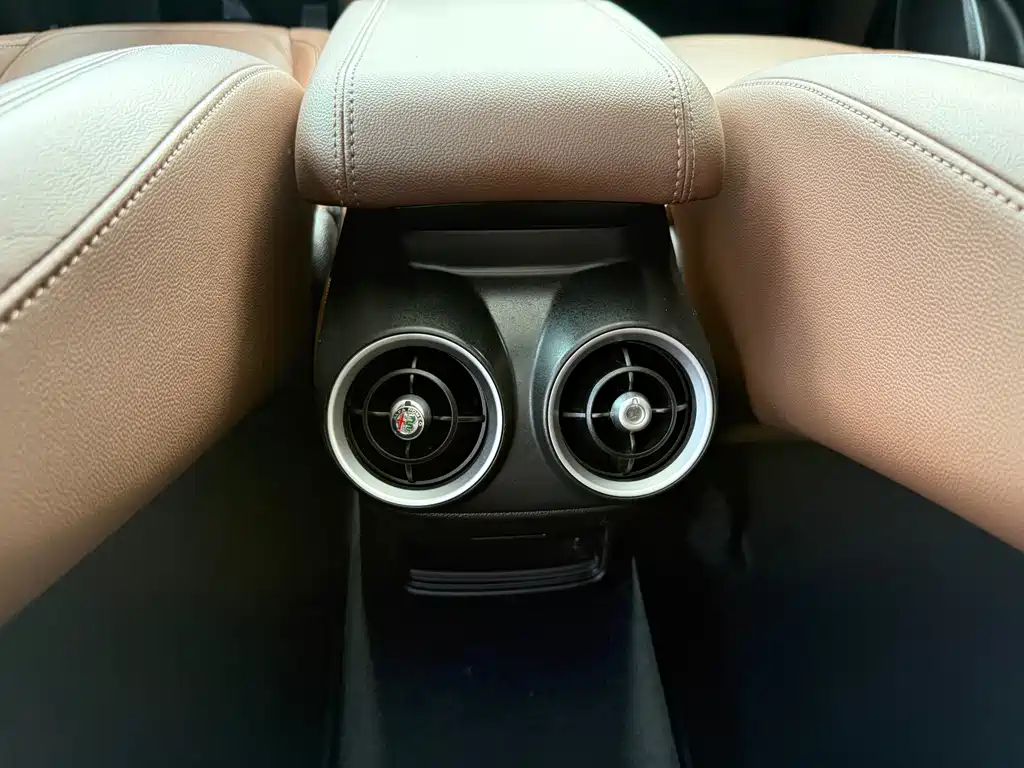Alfa Romeo Stelvio 2019 — фото 22
