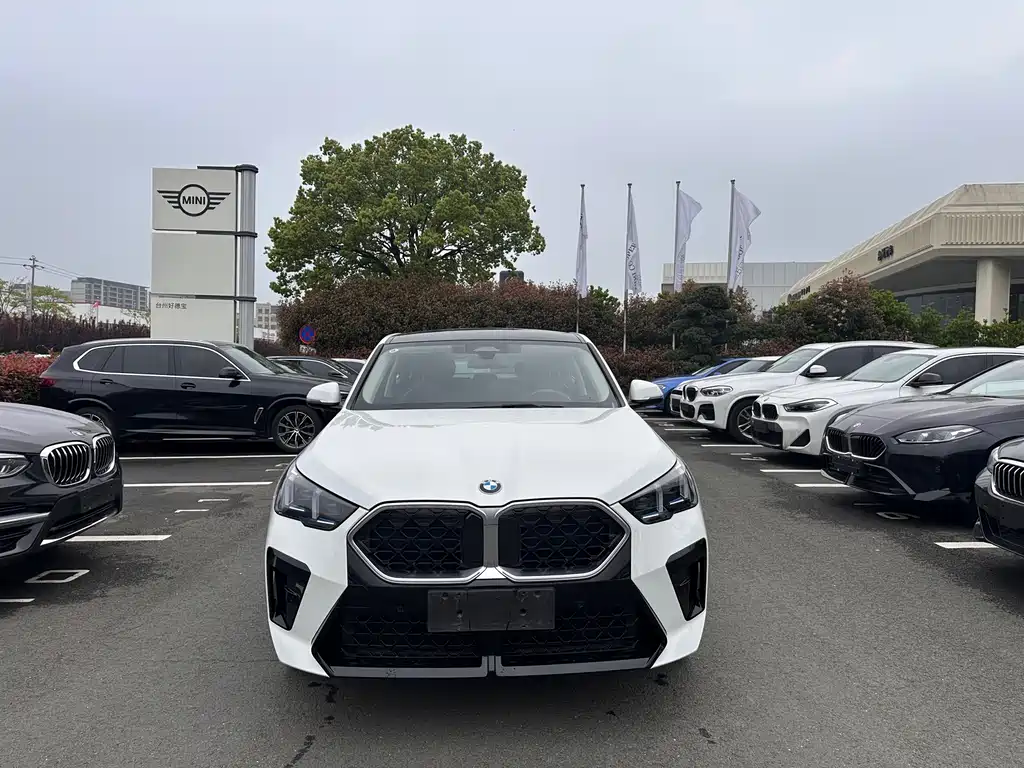 BMW X2 2025 — фото 2