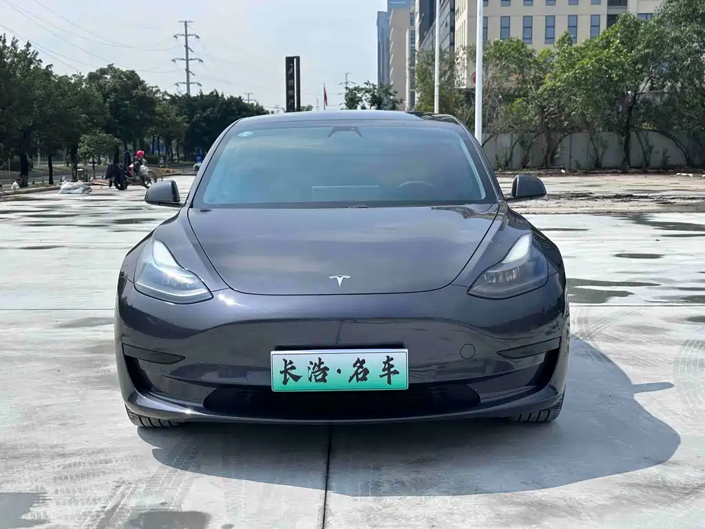 Tesla Model 3 2021 — фото 2