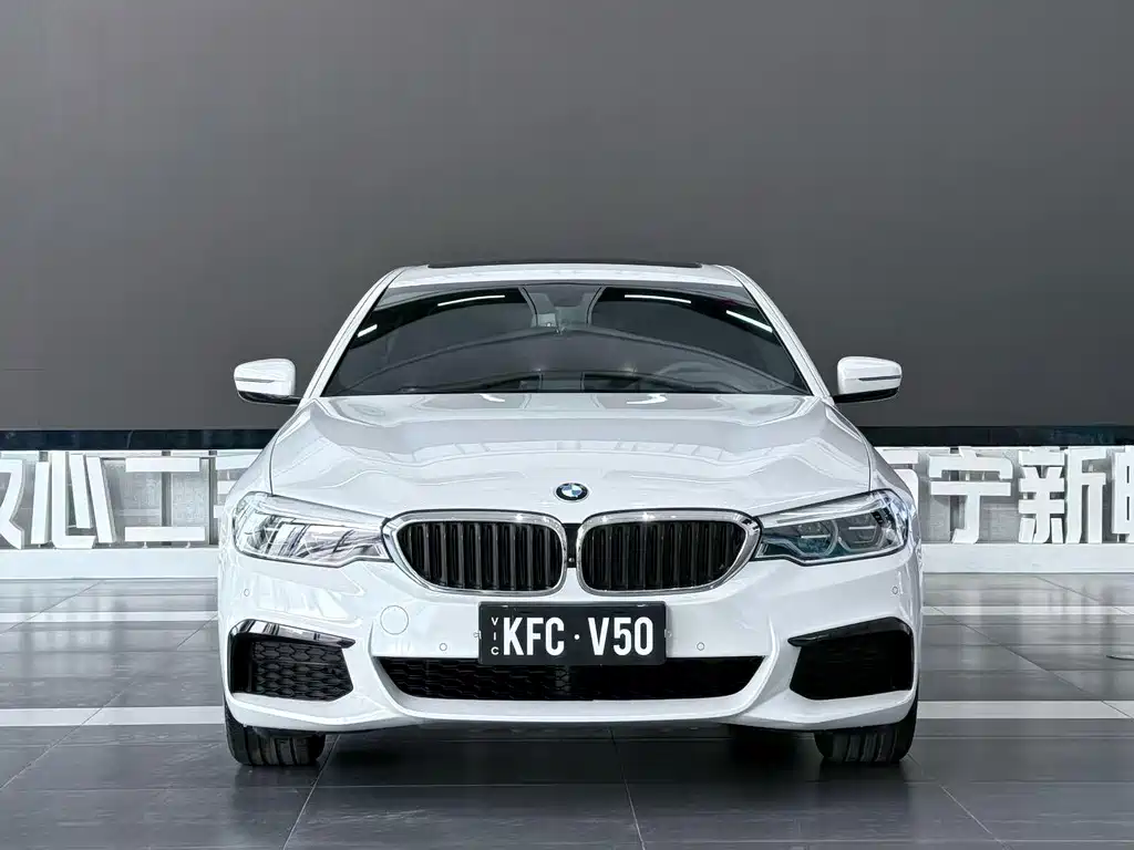 BMW 5 Series 2019