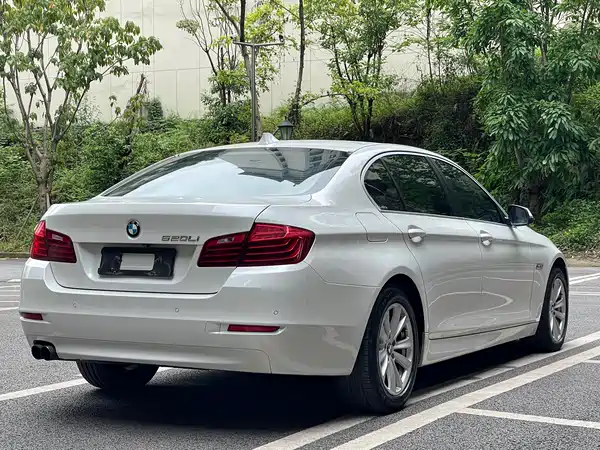 BMW 5 Series 2014
