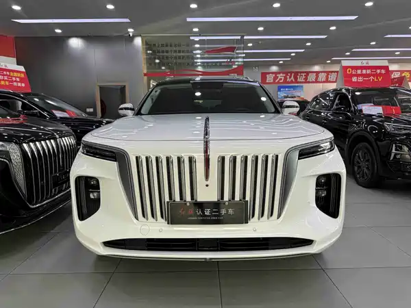 Hongqi E-HS9 2021