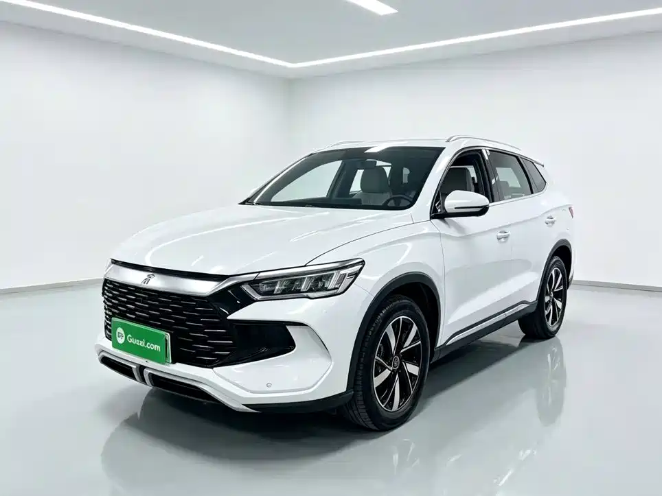 BYD Song Pro New Energy 2024 — фото 2