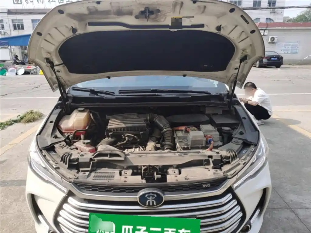 BYD MAX New Energy 2019 — фото 11