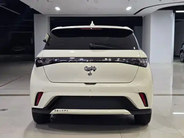 BYD Dolphin 2023