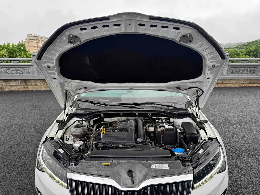 Skoda Speedy 2023 — фото 19