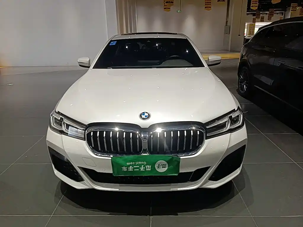 BMW 5 Series New Energy 2021