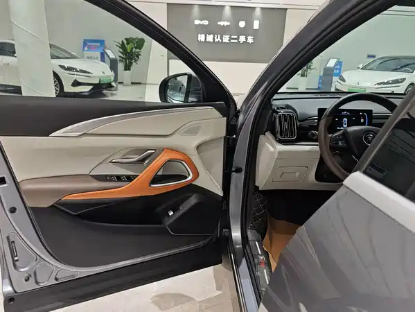 BYD Song Pro New Energy 2022
