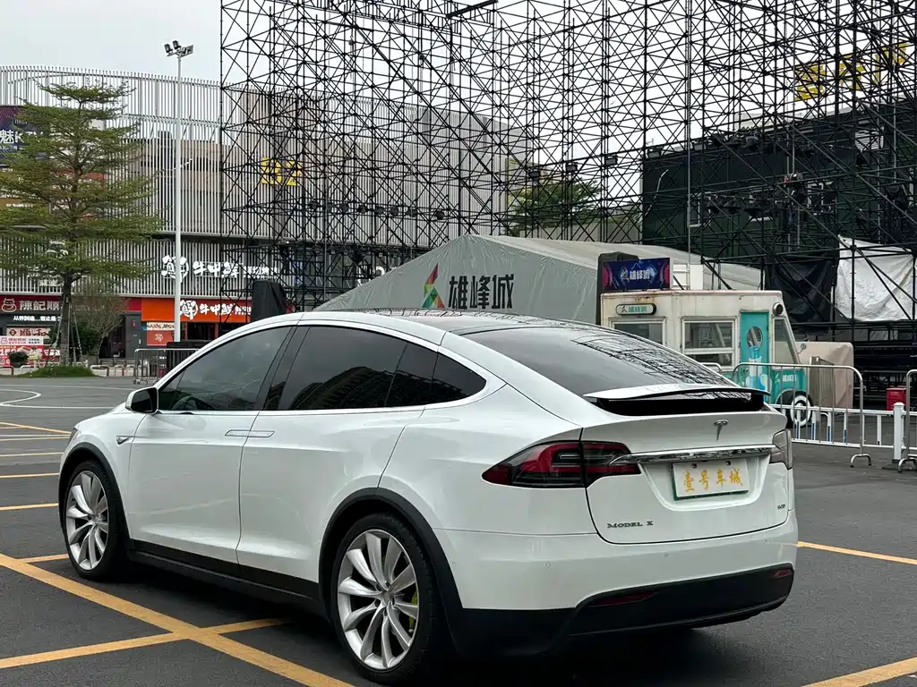 Tesla Model X 2017 — фото 10