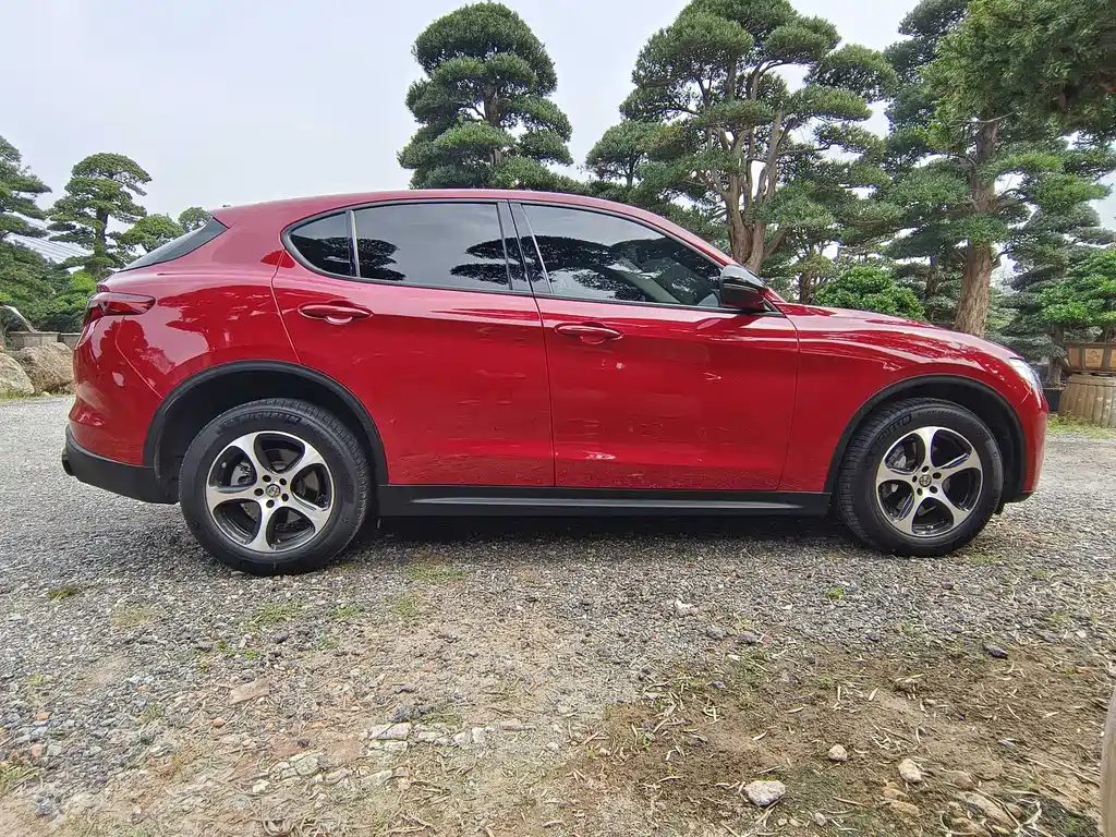 Alfa Romeo Stelvio 2019 — фото 4