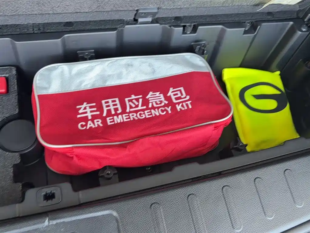 GAC Motor Trumpchi GS8 2020 — фото 17
