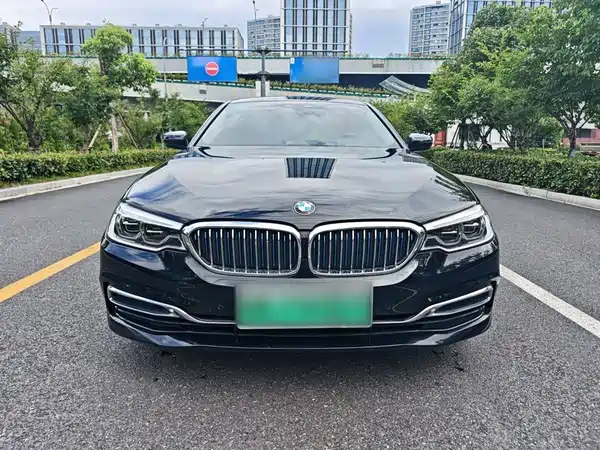 BMW 5 Series New Energy 2019