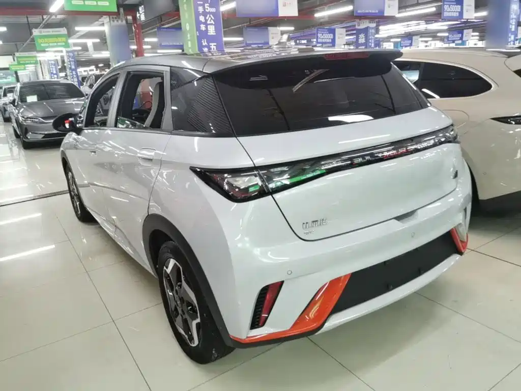 BYD Dolphin 2022