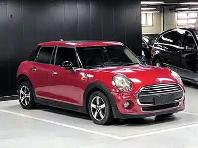 MINI MINI 2017
