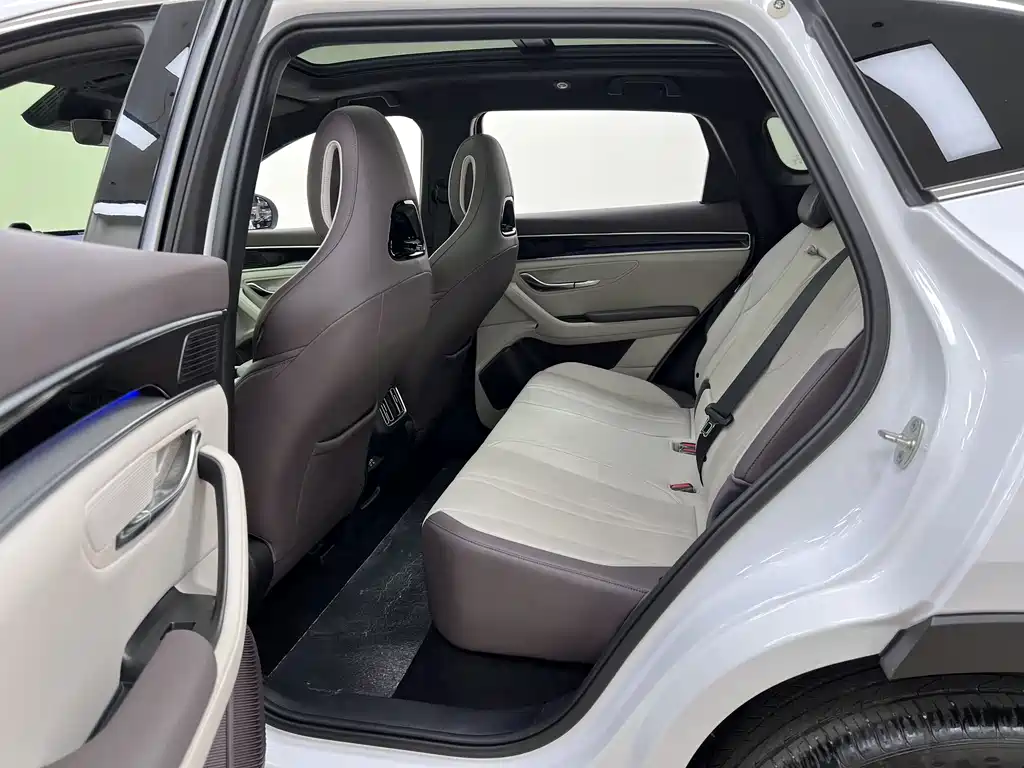 BYD PLUS New Energy 2024 — фото 13
