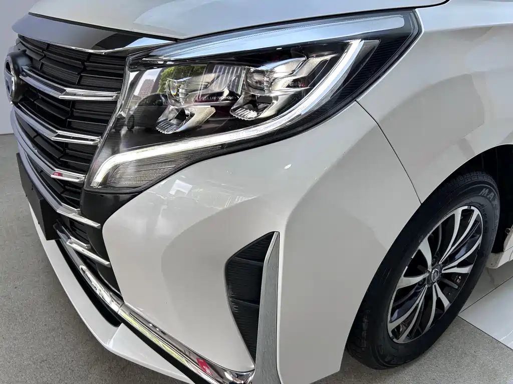 GAC Motor Trumpchi M8 2023 — фото 25