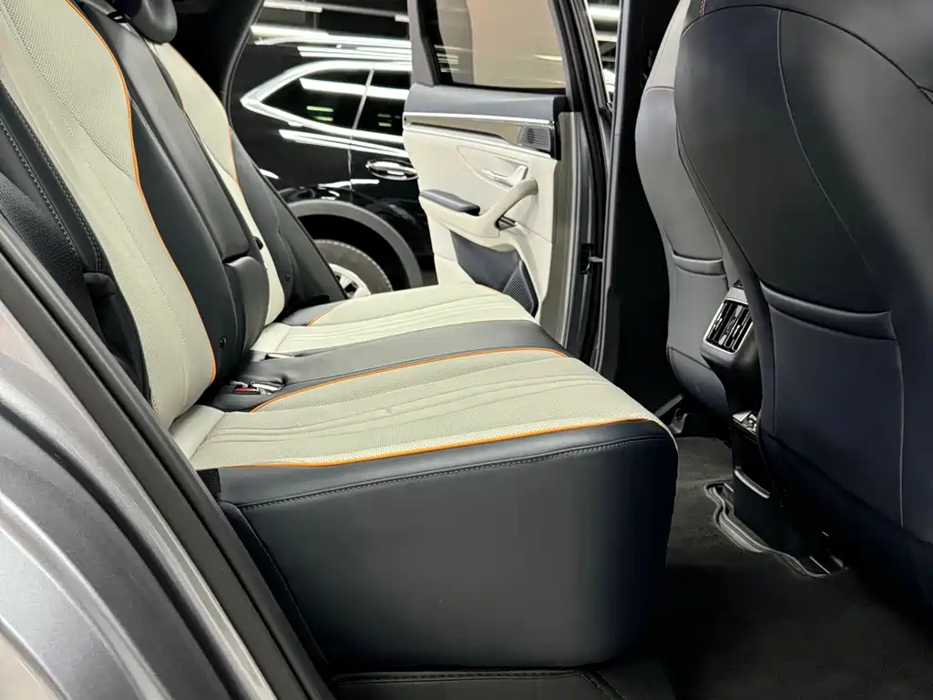 BYD PLUS New Energy 2023 — фото 18