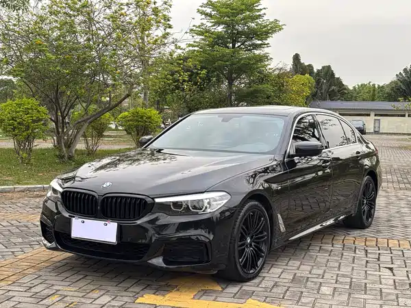 BMW 5 Series 2020
