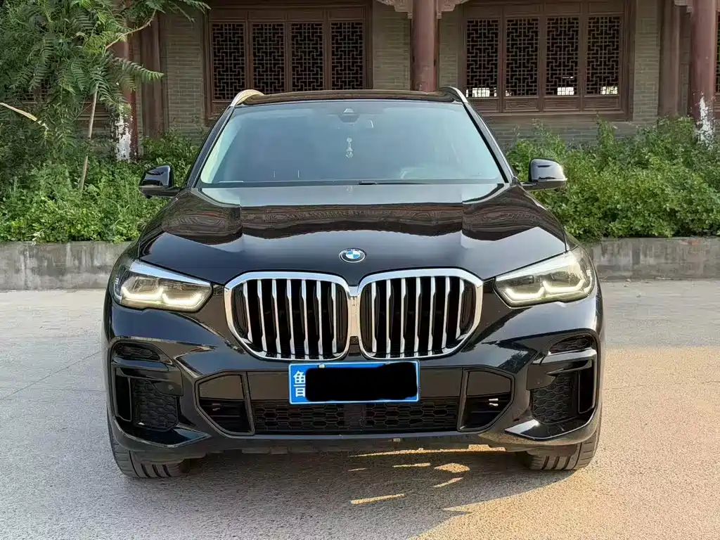 BMW X5 2022