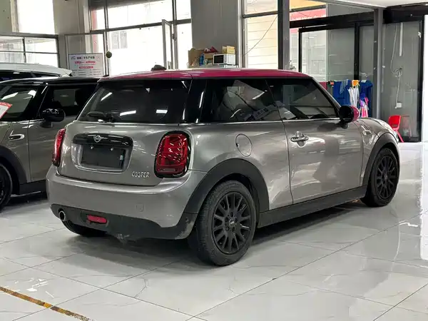 MINI MINI 2019