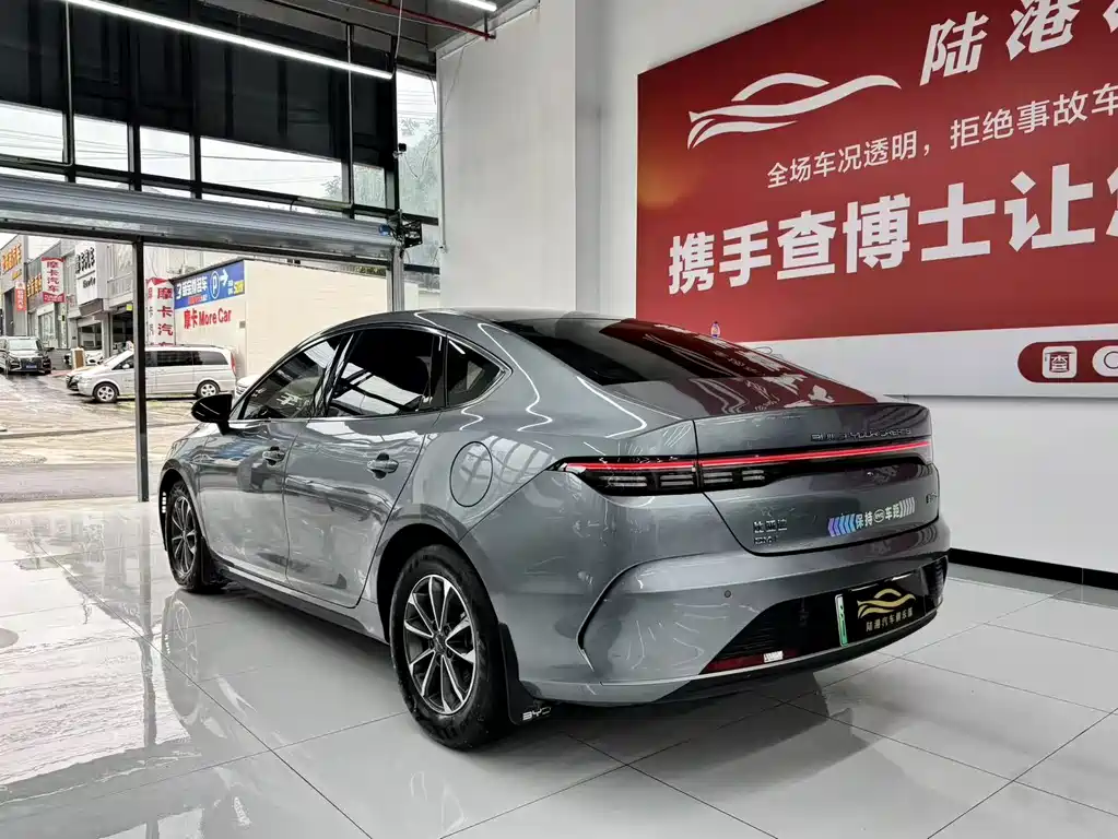 BYD Destroyer 05 2024 — фото 13