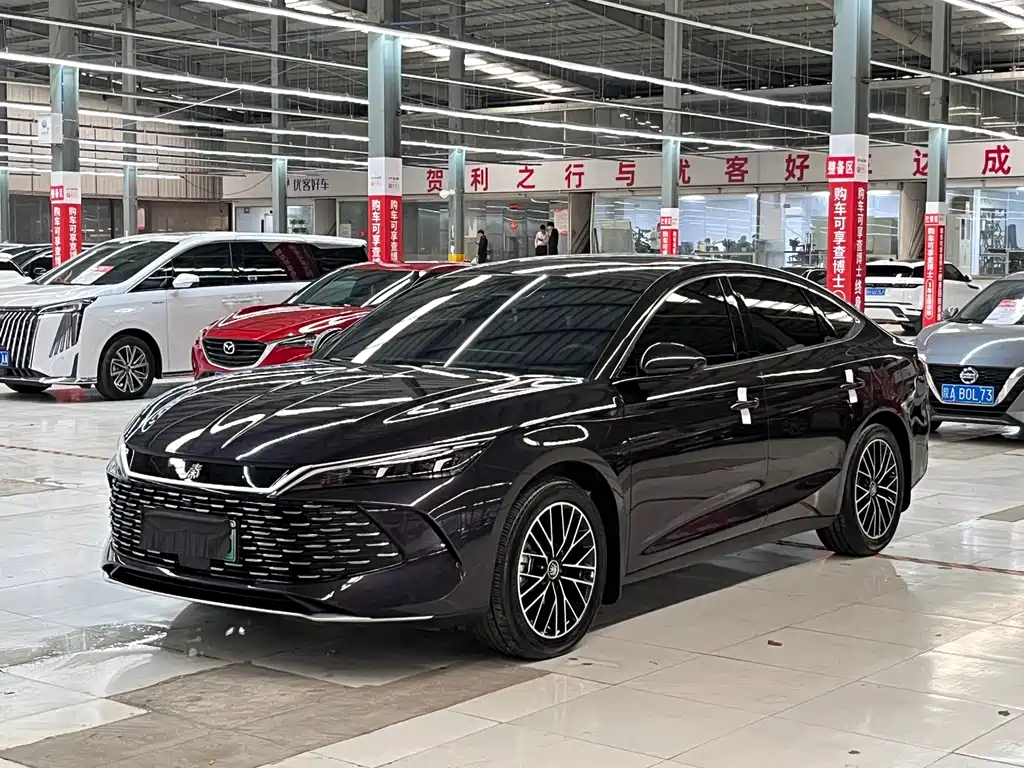 BYD Qin L 2024 — фото 1