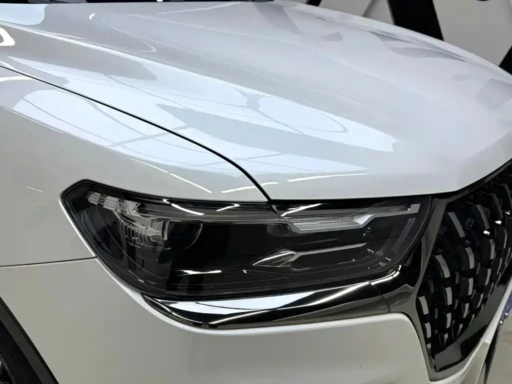 Haval H6 2023 — фото 17