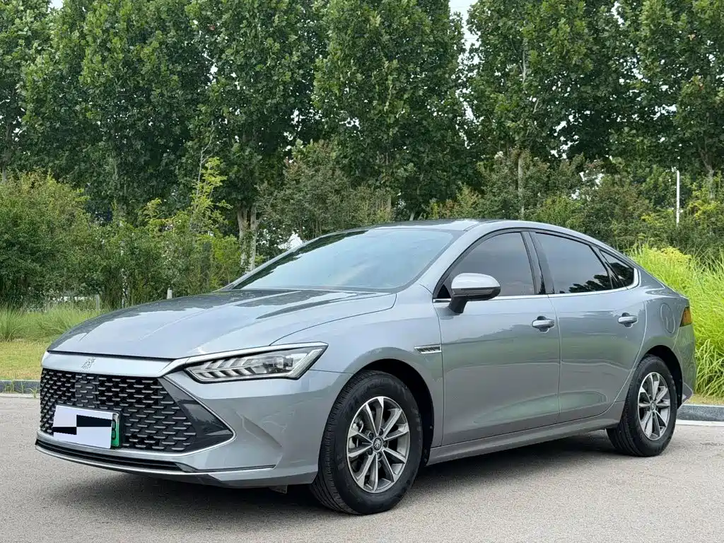 BYD Qin PLUS 2024 — фото 1