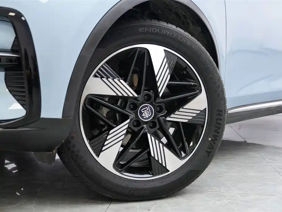 BYD Tang New Energy 2024