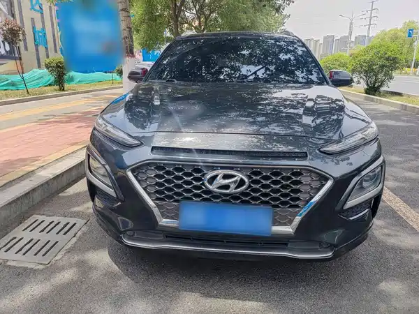 Hyundai ENCINO 2019