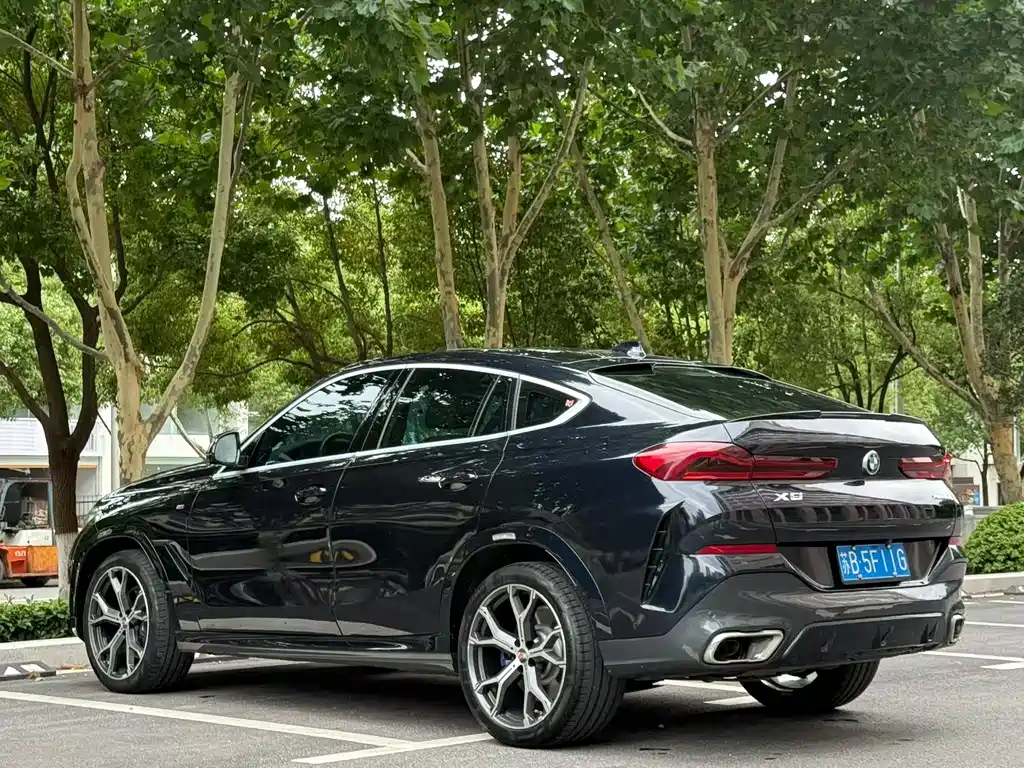 BMW X6 2021