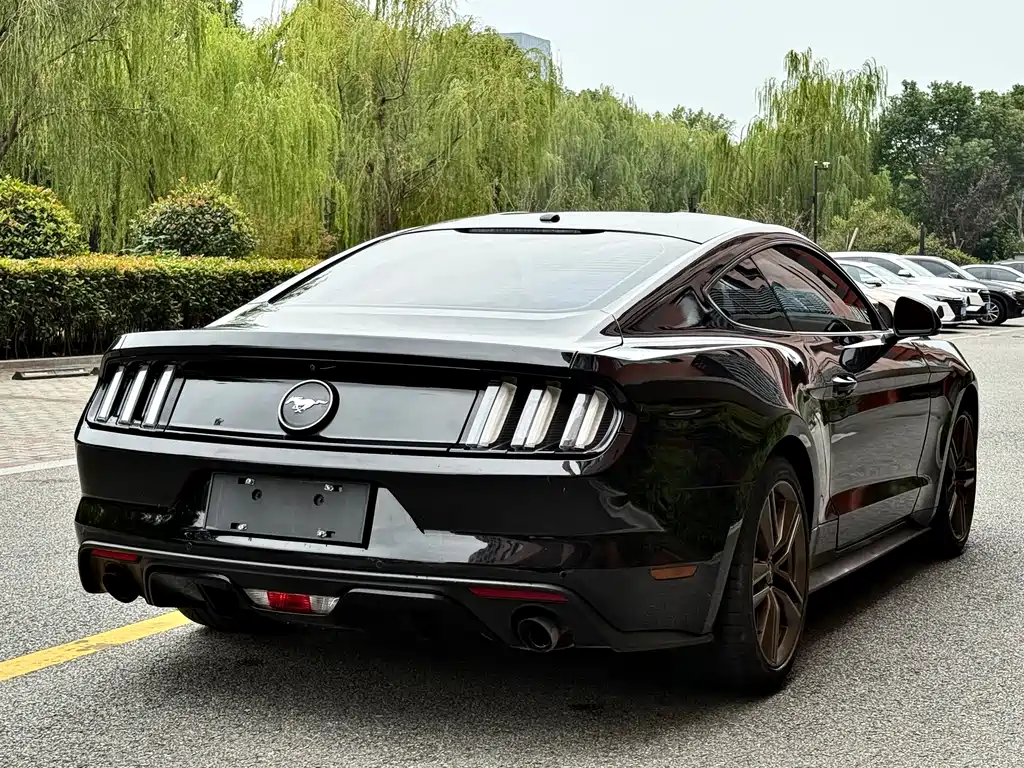Ford Mustang 2017 — фото 14
