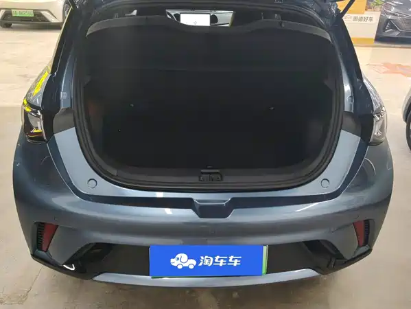 BYD Dolphin 2026