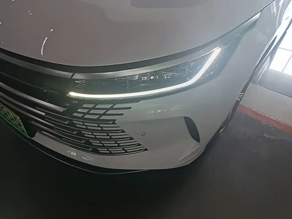 BYD Destroyer 05 2023 — фото 24