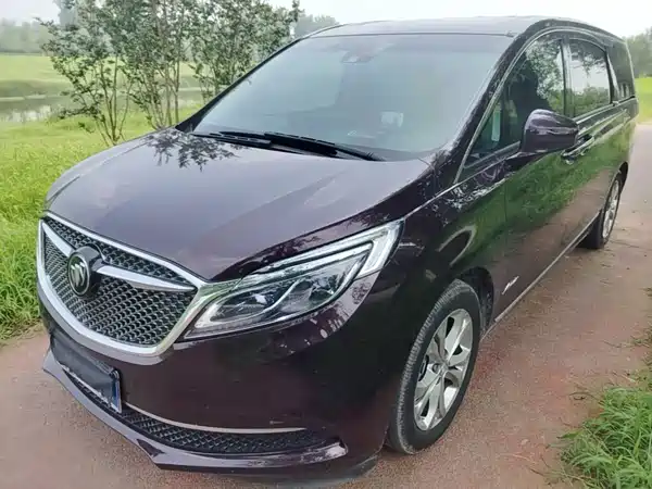 Buick GL8 2019