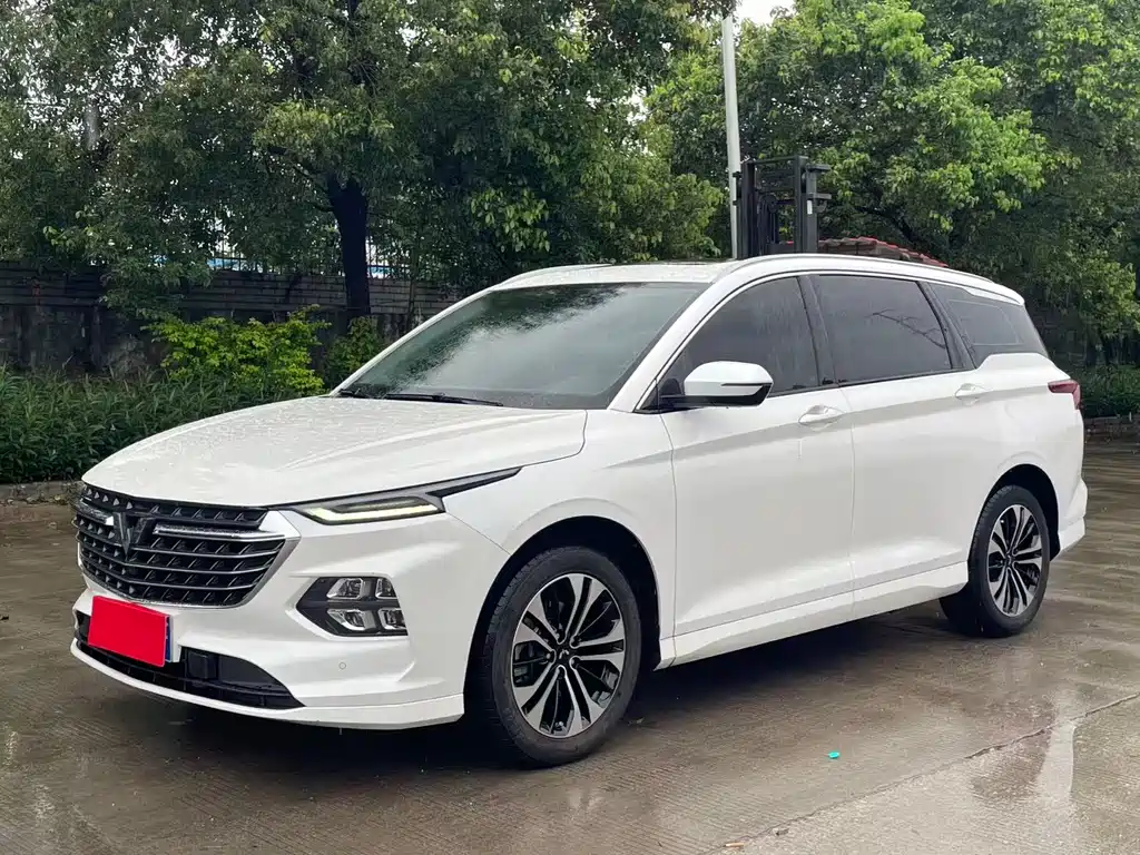 Wuling Victory 2021