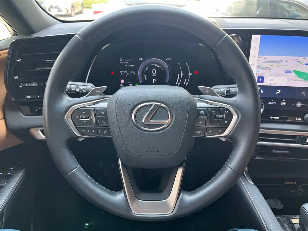 Lexus RX 2024 — фото 14