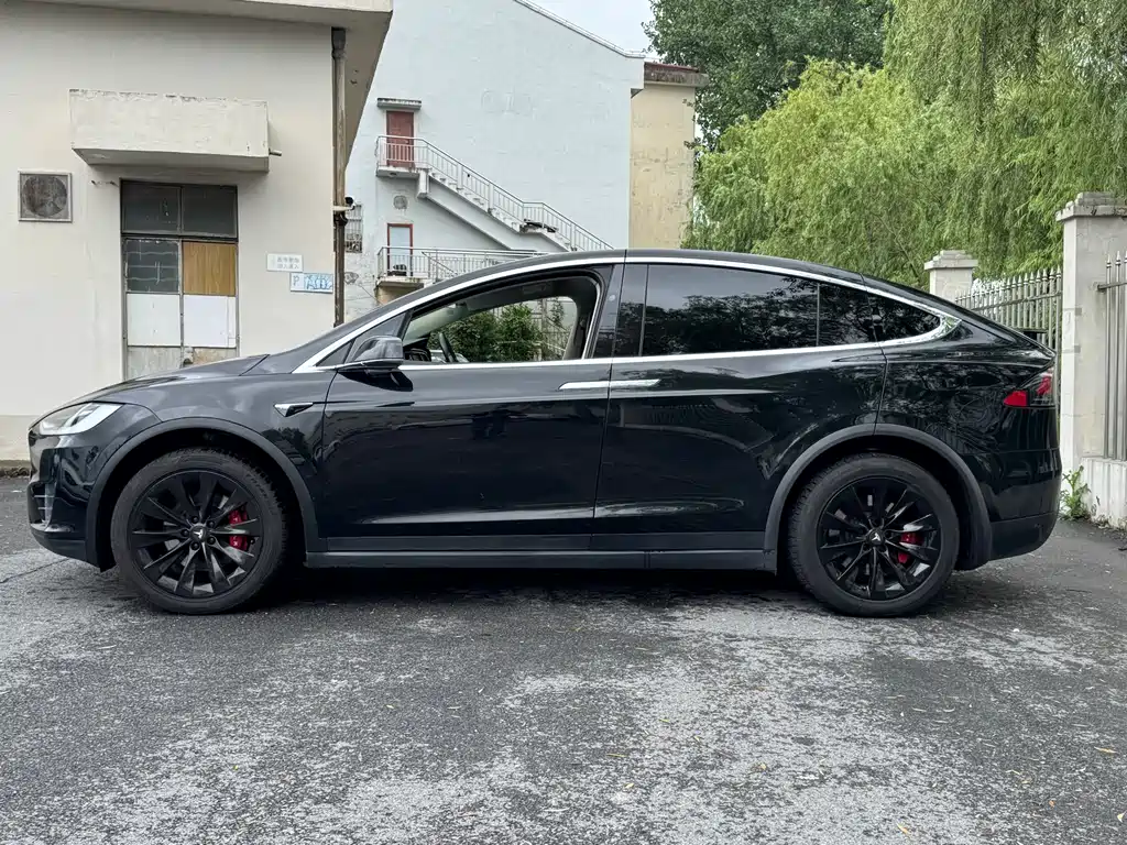 Tesla Model X 2019