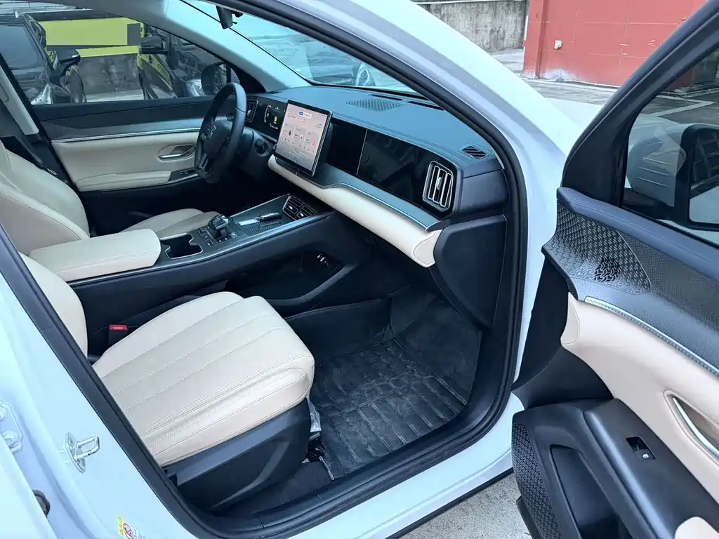 BYD Pro New Energy 2025
