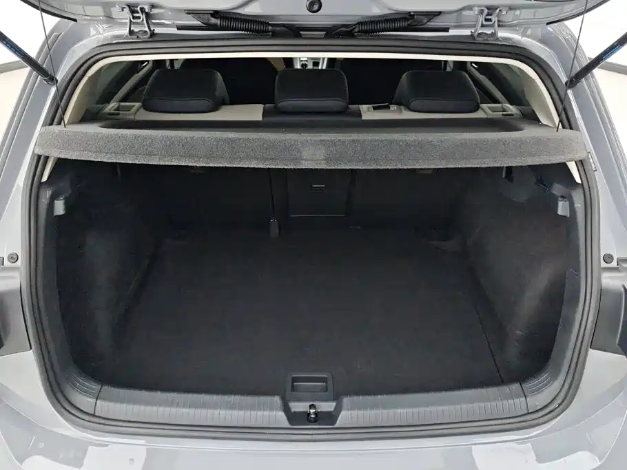 Volkswagen Golf 2021