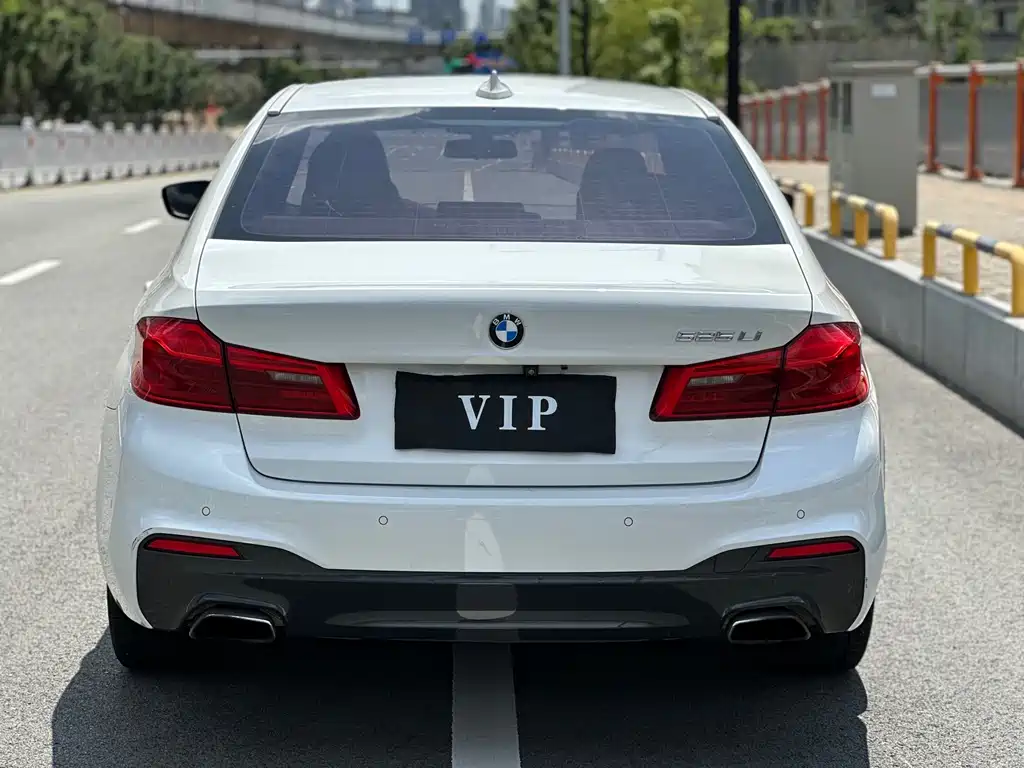 BMW 5 Series 2019 — фото 13
