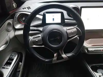 BYD Dolphin 2023