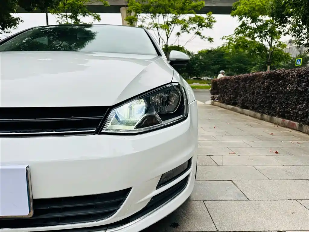 Volkswagen Golf 2015 — фото 11
