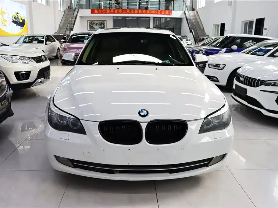 BMW 5 Series 2010