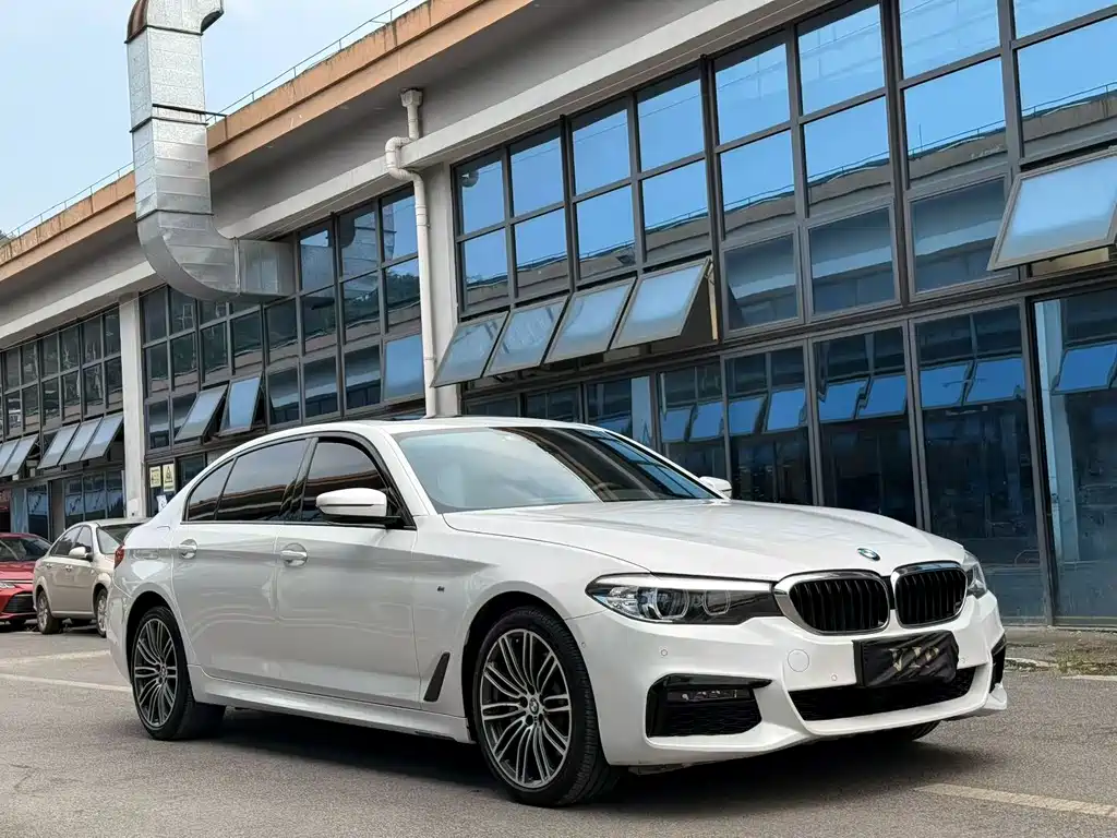 BMW 5 Series 2019