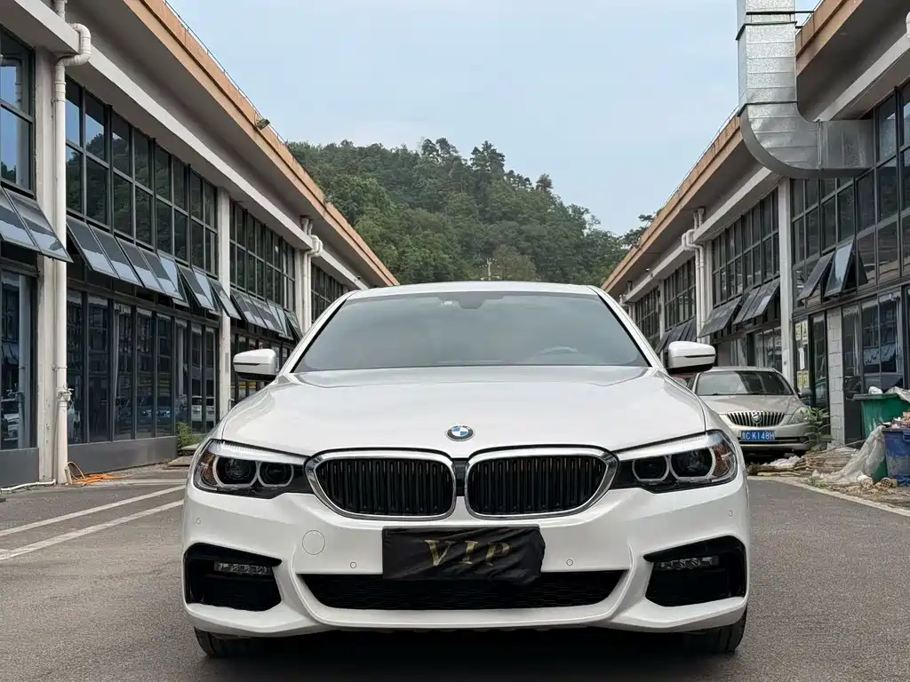 BMW 5 Series 2019