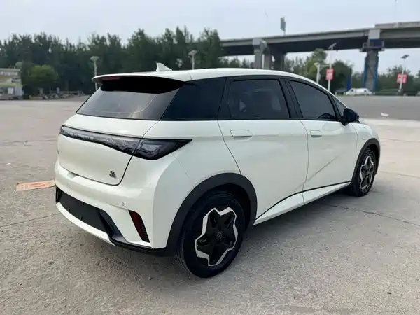 BYD Dolphin 2022