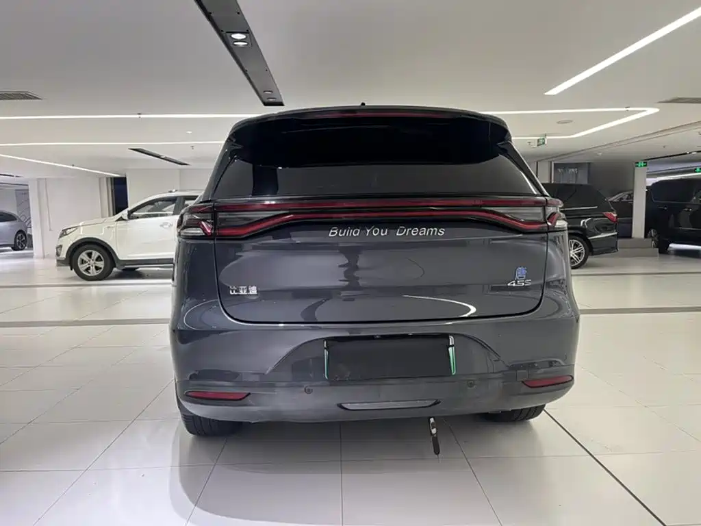 BYD Tang New Energy 2020 — фото 12