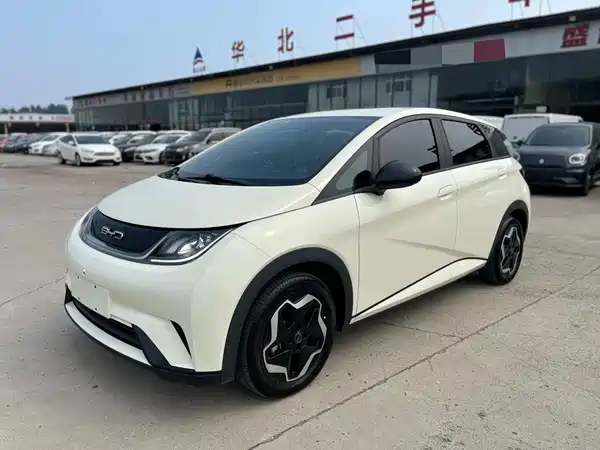 BYD Dolphin 2022