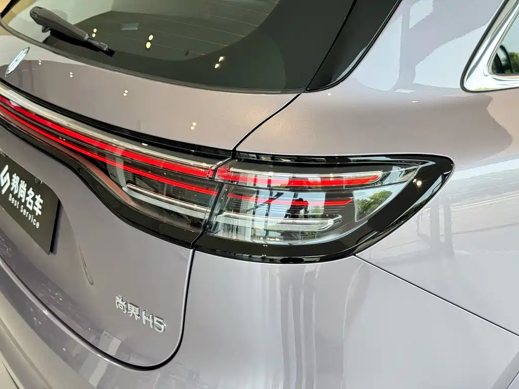 Shangjie H5 2025 — фото 21